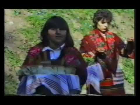 Видео: Родова среща на село Дряново, община Лъки, през 1989 година