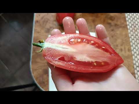 Видео: Дегустация 13 часть