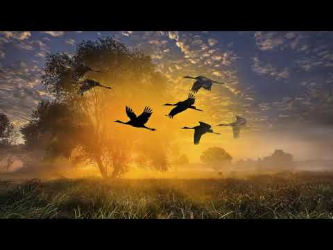 Видео: Видения на холме Песня на стихи Николая Рубцова