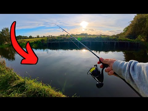 Видео: Ловля окуня на крючок во время ловли рыбы на приманку в канале!
