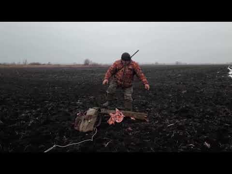 Видео: Охота, это не только трофеи. Привада по чернотропу