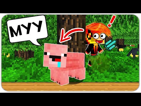 Видео: ПРЯТКИ МОБА: НУБИК ПРЕВРАТИЛСЯ в СВИНКУ в МАЙНКРАФТ! ДЕВУШКА в 1 БЛОК ИЩЕТ НУБА В MINECRAFT