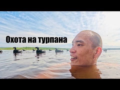 Видео: ОХОТА НА ТУРПАНА