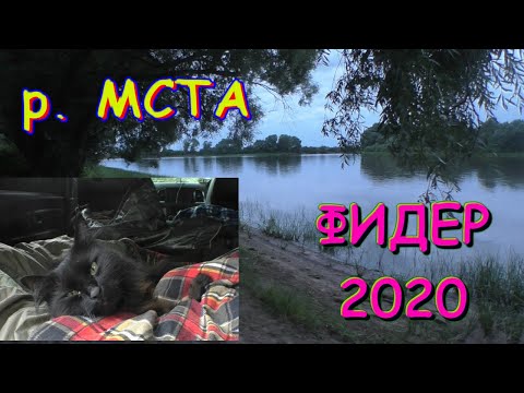 Видео: Рыбалка на фидер на р. Мста. Август 2020 г.