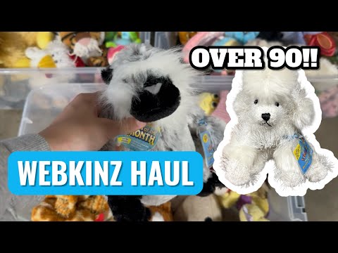 Видео: Ностальгия по Webkinz! Более 90 покупок на торговой площадке Webkinz