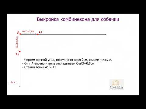 Видео: Выкройка комбинезона для собачки.