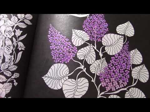 Видео: ЧЕЛЛЕНДЖ 24 ЧАСА С ЛЮБИМЫМ АВТОРОМ