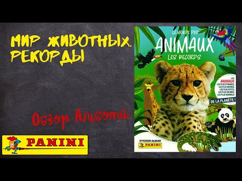 Видео: Мир животных. Рекорды от Panini / Обзора альбома для наклеек.