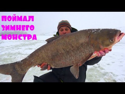 Видео: Опустил камеру под лед и офигел сколько там здоровенной рыбы!