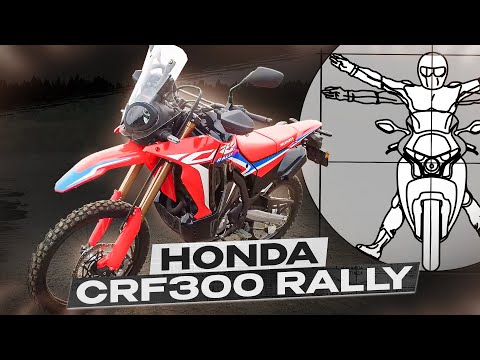 Видео: Hond CRF300 Rally: тест-драйв и обзор наследника Transalp 400