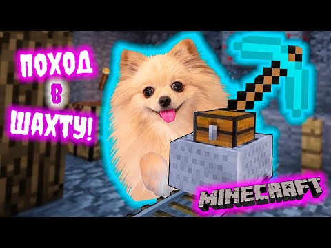 Видео: ПЕРВЫЙ ПОХОД В ШАХТУ В МАЙНКРАФТ ! ЧТО Я ТАМ НАШЛА ?! MINECRAFT