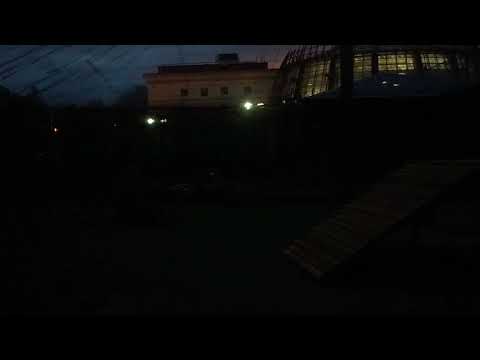 Видео: 29.10. К Шерхану гости и Шерхан скорее к ним