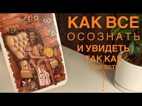 Видео: Как всё осознать и увидеть так, как оно есть?