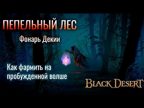 Видео: Пепельный лес. Фонарь декии. Пробужденная волшебница. Как фармить спот