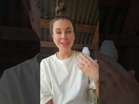 Видео: Ольга Ветер (Жемчугова Veter) ПРЯМОЙ ЭФИР 02.06.24 ч1