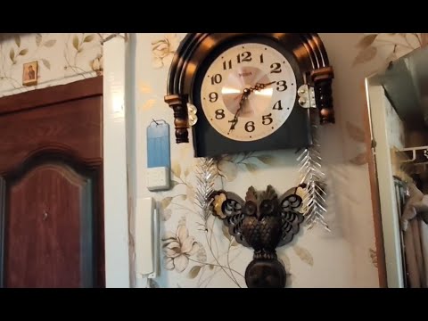 Видео: Ремонт часть 0. Обзор квартиры. Гуляю. Влог. Болталка