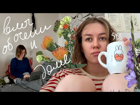 Видео: сижу дома целыми днями ❤️🍁🍵 осенний влог
