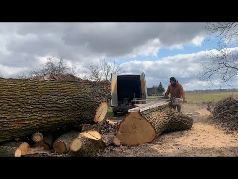 Видео: Шесть кубов дуба на слэбы за один день. Часть 1