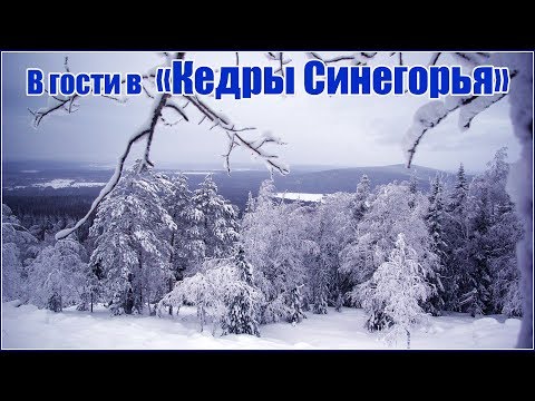 Видео: В гости в Поселение Родовых поместий Кедры Синегорья январь 2019