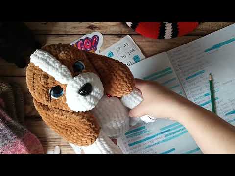 Видео: Бинго _2025 Отчёт весны.