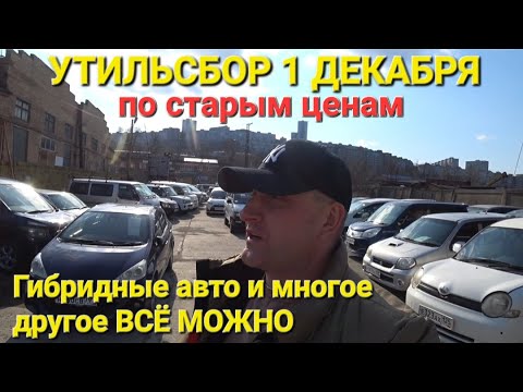 Видео: 1 ДЕКАБРЯ УТИЛЬСБОР, ЛЮДИ СКУПАЮТ АВТО НА ЗАКАЗ, АВТОРЫНОК ВЛАДИВОСТОК, ЦЕНЫ ВИДЕО