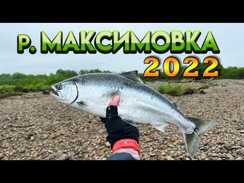 Видео: Сима 2022 на Максимовке