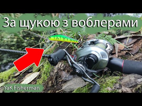 Видео: Осіння щука на воблери з бейткастингом!