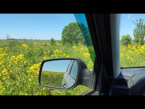 Видео: Островок в поле и куча металлолома на китайский металлоискатель ТХ-850