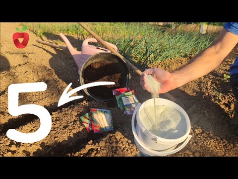 Видео: Осенняя обработка почвы за 5 этапов: Как правильно подготовить почву к зимней обработке?