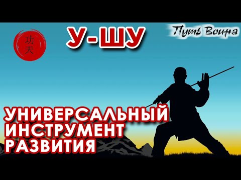 Видео: У-Шу: Универсальный инструмент РАЗВИТИЯ.