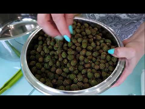 Видео: Готовим варенье из сосновых шишек