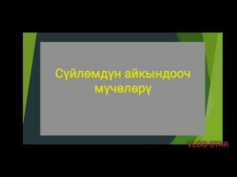 Видео: Суйломдун айкындооч мучолору