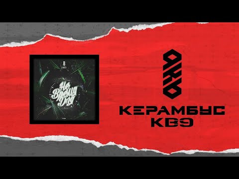 Видео: Керамбус KB9.  СУДИМ 2 РАУНД. ЗАХОД НОМЕР 4.