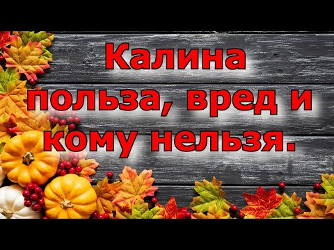 Видео: Польза и вред калины . Кому можно и кому нельзя ее употреблять.