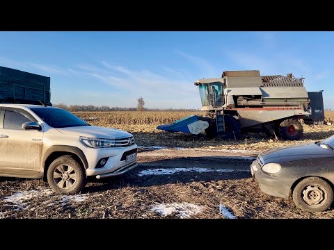Видео: ЖНИВА 2024❗️СИПЕ 10 тон/га🌽Міндобриво від ДАР,ДЯКУЄМО🙏
