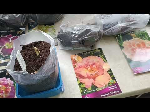 Видео: Покупки от агрофирмы "Поиск"