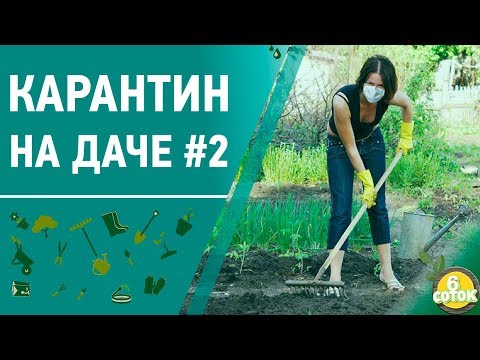 Видео: Карантин на даче #2. 6 соток 06.04.2020