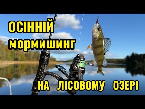 Видео: 🎣 Осінні трофейні окуні | Рибалка на окуня та білу рибку 2025