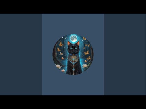 Видео: Таро в Дар!