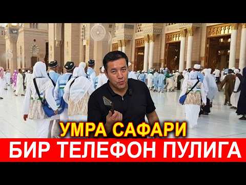 Видео: СЕНТЯБР ОКТАБР НОЯБР УМРА НАРХЛАРИ ТУШДИ 2025 КАТТА ЯНГИЛИК. УМРА НАРХЛАРИ 2025. UMRA NARXLARI 2025.
