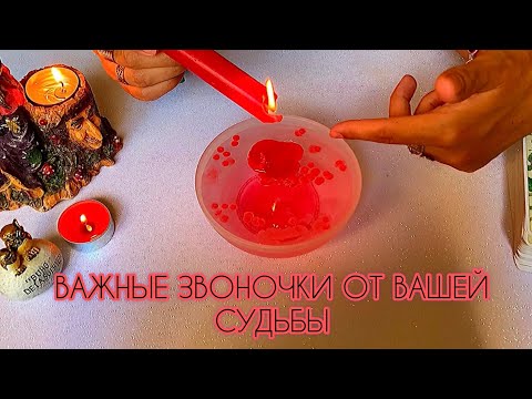 Видео: 🔔ВАЖНЫЕ ЗВОНОЧКИ ОТ ВАШЕЙ СУДЬБЫ 🔔ТЫ ТОЧНО ДОЛЖНА УСЛЫШАТЬ ❗️☘️😍