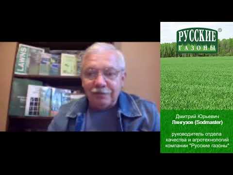 Видео: Удобрения для газона советы специалиста