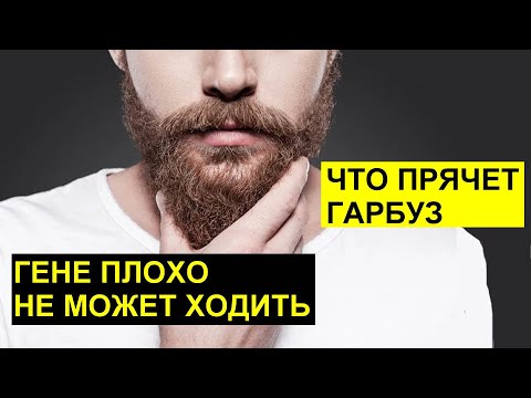Видео: САМВЕЛ АДАМЯН\ ГЕНЕ ПЛОХО НЕ МОЖЕТ ХОДИТЬ. ЧТО СКРЫВАЕТ ГАРБУЗ ЗА ГАЗЕТОЙ