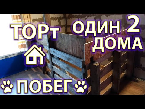 Видео: Вероломный побег щенка из вольера.🐶ТОРт один дома🏡 - Часть II.