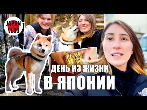 Видео: День из жизни в Японии ВЛОГ | Покоряем японские горы