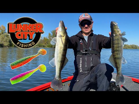 Видео: Поймать Судака на Десне ЛЮБОЙ ЦЕНОЙ - Lunker City SHAKER