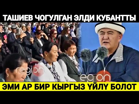 Видео: ТАШИЕВ чогулган элди кубантты ! 