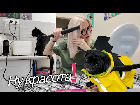 Видео: Их время пришло, а я ну как всегда! 