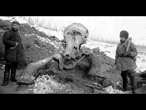 Видео: Теория Катастроф .Часть1. Лед