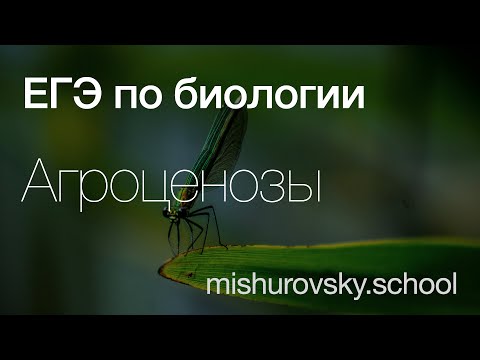 Видео: Агроценозы | Биология ЕГЭ